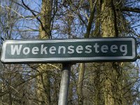 NL, Noord-Brabant, Oirschot, Heerenbeek 40, Saxifraga-Jan van der Straaten